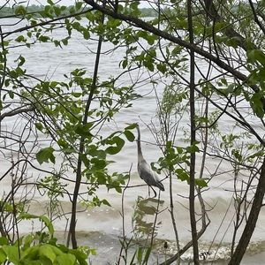 Meet your Posher, Rosa